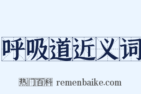呼吸道近义词是什么意思的图片